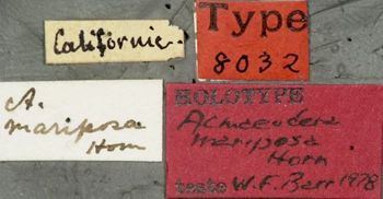 Media type: image;   Entomology 8032 Aspect: labels
